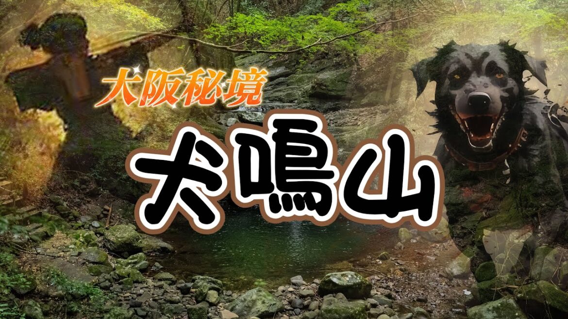 【大阪也有秘境？犬鳴山修驗聖地】義犬之墓，犬鳴山名字的起源｜密教聖地，最大的不動明王雕像｜神佛合一修驗的寺院七寶瀧寺