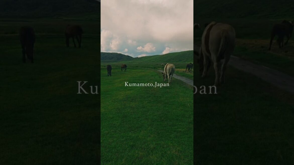 📍Kumamoto, Japan