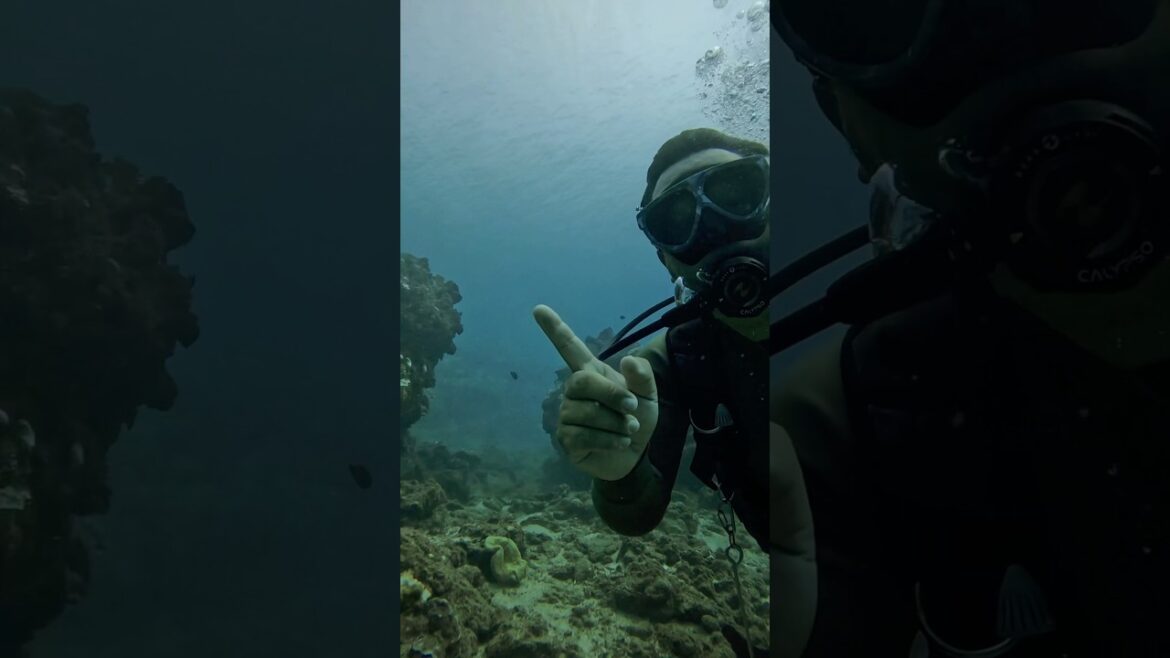 Diving tour of underwater ruins on Okinawa's main island #okinawa #japan #scubadiving