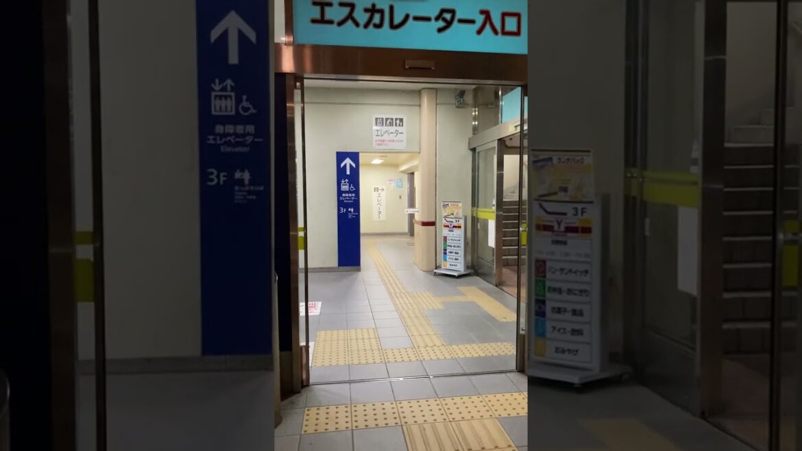 1951 Niigata, Niigata