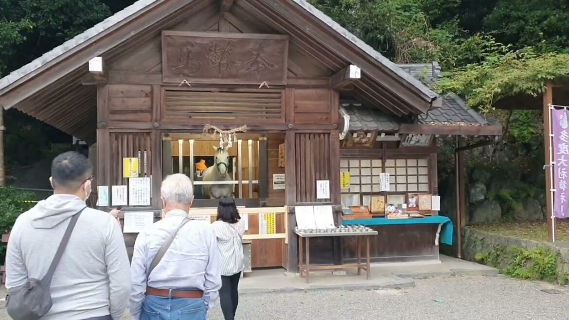 Japan Trip Oct 2024 : Yatomi - Tsushima and Tado Shrines