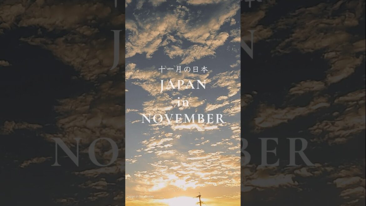 Japan in November #shorts #japantraveldiaries Japan in November #shorts #japantraveldiaries