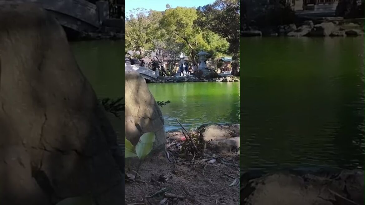 Quiet day at Munakata Taisha Shinto Shrine