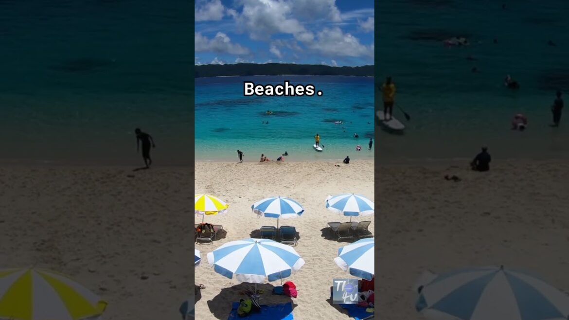 Must-Visit Places in Japan 🇯🇵🏯#japan #travelguide #mustvisit