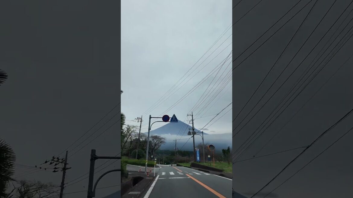 Snowless Mt. Fuji!!! #mountfuji #mtfuji #japan #october #travel #roadtrip