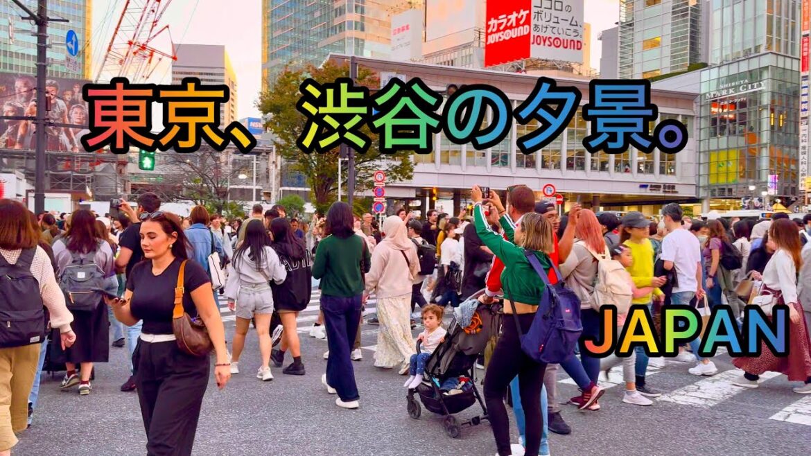 [4K HDR] Evening Walking Tour from Shibuya to Harajuku. Tokyo, Japan. November 2024