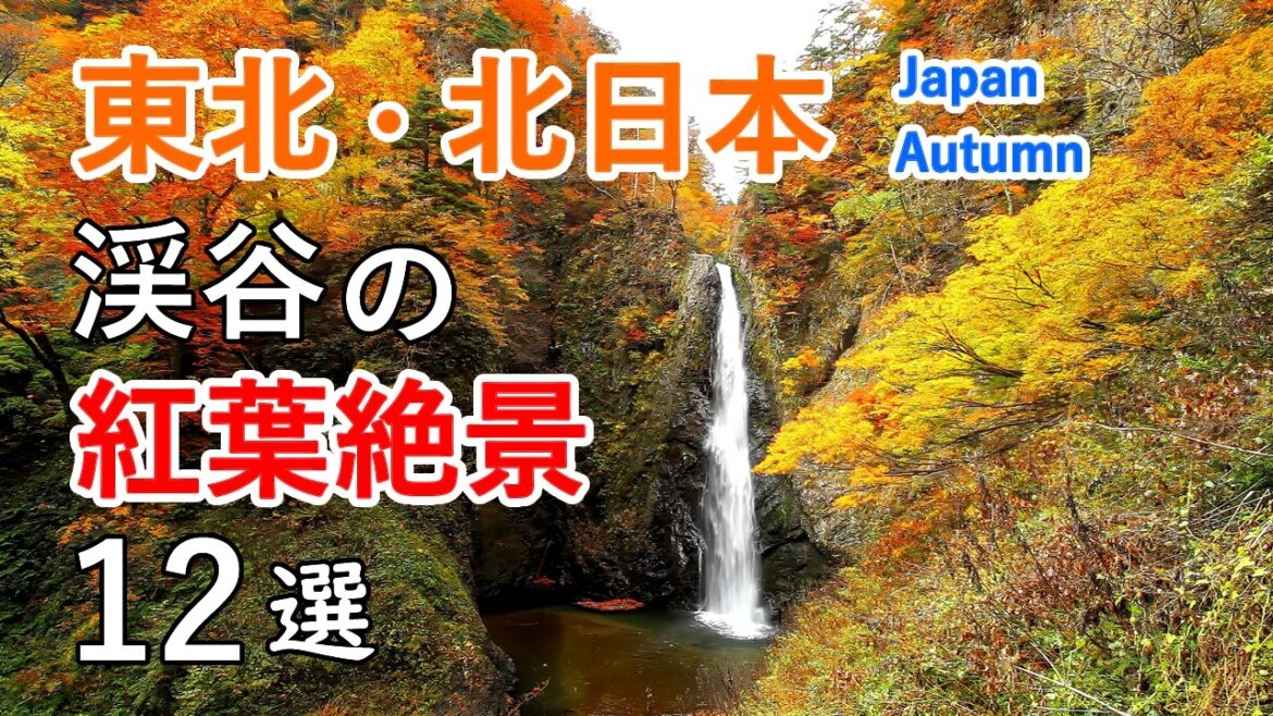 東北・北日本 渓谷の紅葉絶景ベスト12選！ 白神山地・奥入瀬渓流・久慈渓流・桃洞の滝・鳴子峡など / Best 12 Autumn Foliage in Tohoku, Japan [ 4K ]