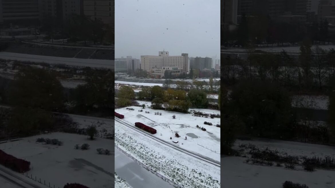 Sapporo, Japan – first snow! – November, 7, 2024 Sapporo, Japan - first snow! - November, 7, 2024