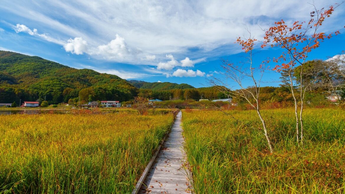 Autumn Walk around Country Pond | Kiso, Japan 4K Autumn Walk around Country Pond | Kiso, Japan 4K