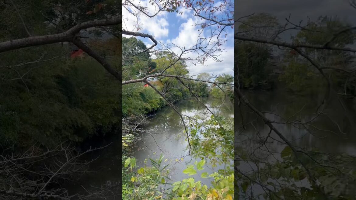 โThe Beautiful Village of Kyoto, Japan ๐ฏ๐ต | 4K Tour ๐ธ #america #UK #Osaka #kyotolife โThe Beautiful Village of Kyoto, Japan ๐ฏ๐ต | 4K Tour ๐ธ #america #UK #Osaka #kyotolife