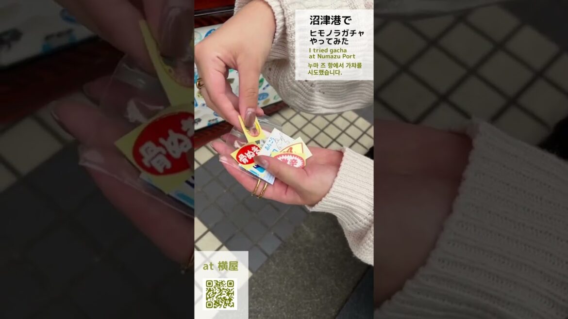 沼津港で人気のヒモノラガチャの中身はこんな感じ #沼津港 #ガチャ