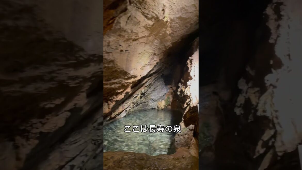 【浜松】竜ヶ岩洞で太古の昔へタイムスリップ