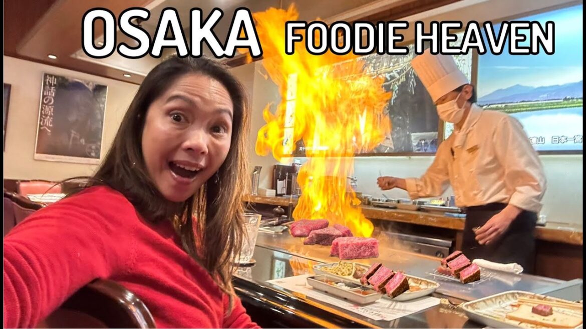 OSAKA GOURMET FOOD GUIDE: AFFORDABLE MICHELIN RESTAURANTS + BEST WAGYU STEAKHOUSE OSAKA GOURMET FOOD GUIDE: AFFORDABLE MICHELIN RESTAURANTS + BEST WAGYU STEAKHOUSE