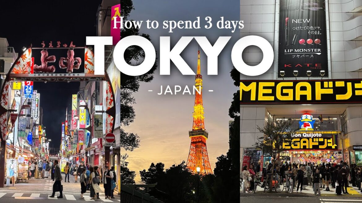 HOW TO SPEND 3 DAYS IN TOKYO, JAPAN | Japan Ultimate Guide 2024