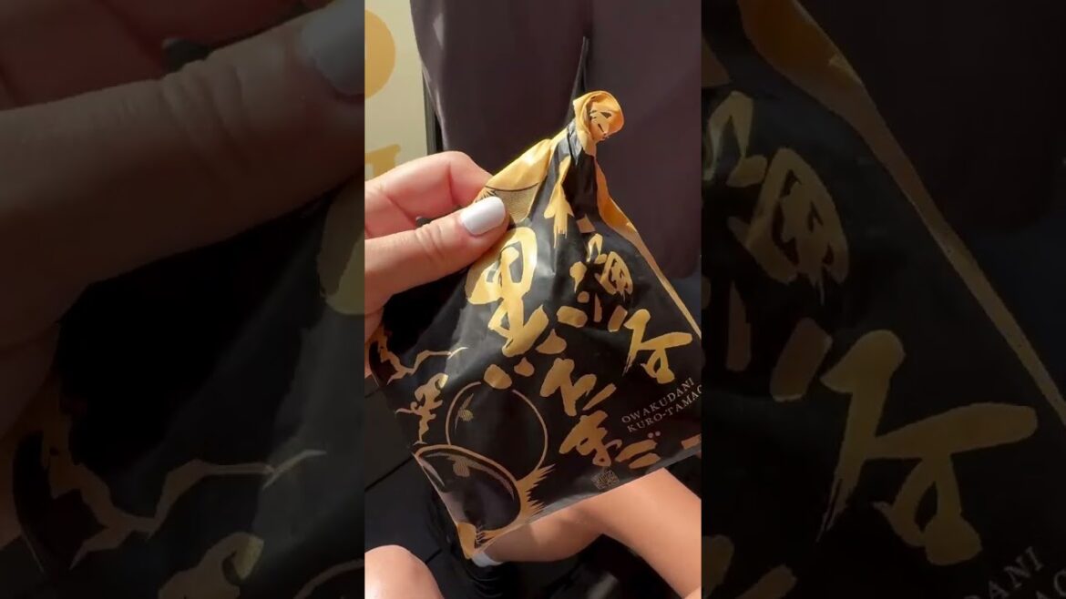 Do The Hakone Loop With Us #japantravel Do The Hakone Loop With Us #japantravel