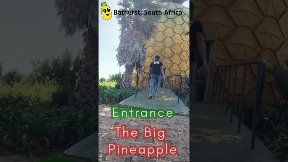 Entrance to World Biggest Pineapple Building in the World | Tour | South Africa | Black Arm TV