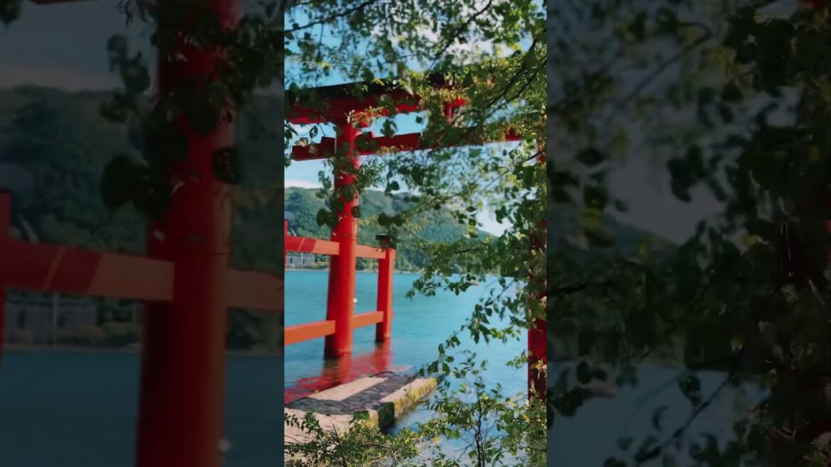 A Day in #hakone #japan #hakoneshrine