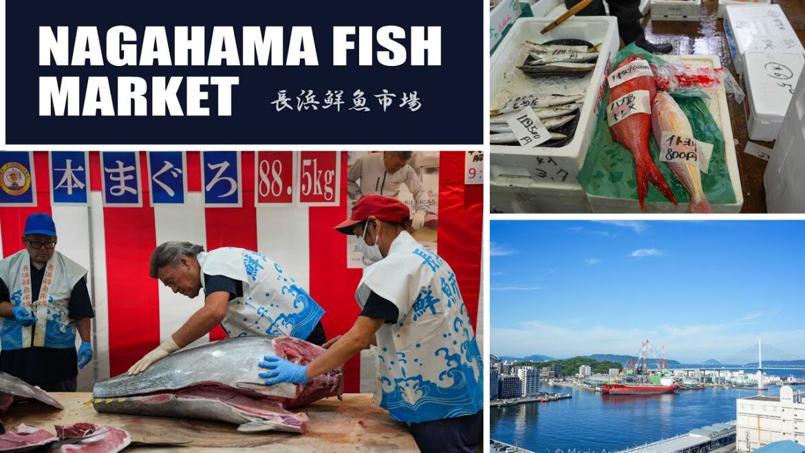 Nagahama Fish Market Citizen's Day - Walking Tour in Fukuoka, Japan | 長浜鮮魚市場,市民感謝デー, 福岡