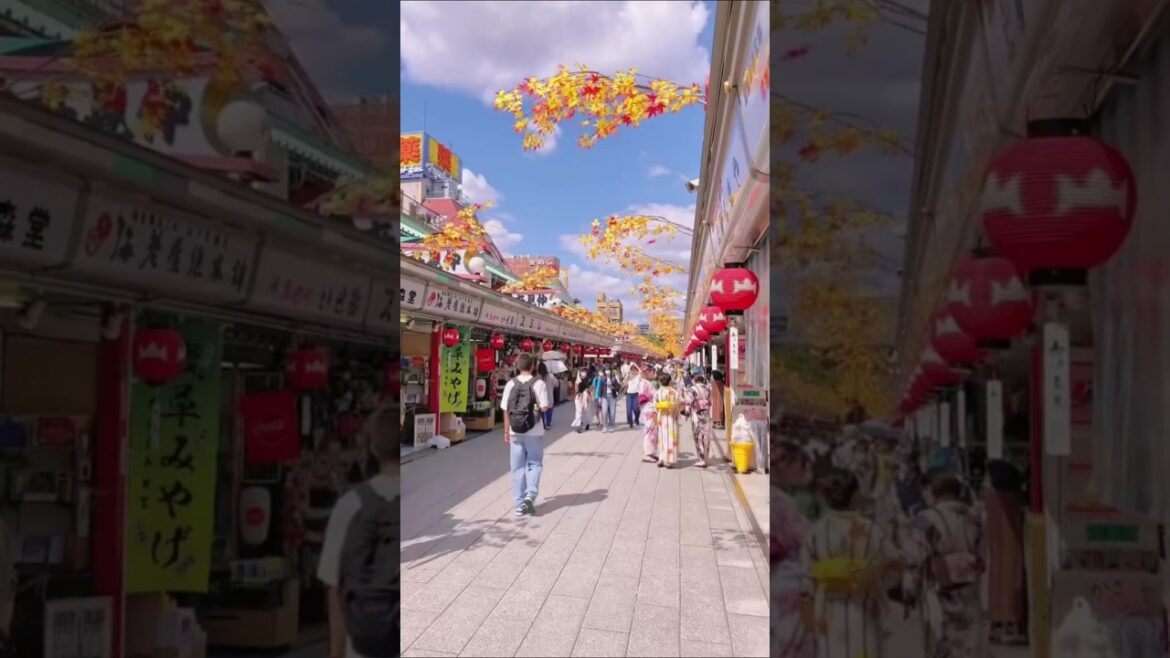 Fukuoka's Colorful Markets: A Cultural Delight #travel #japan #shorts