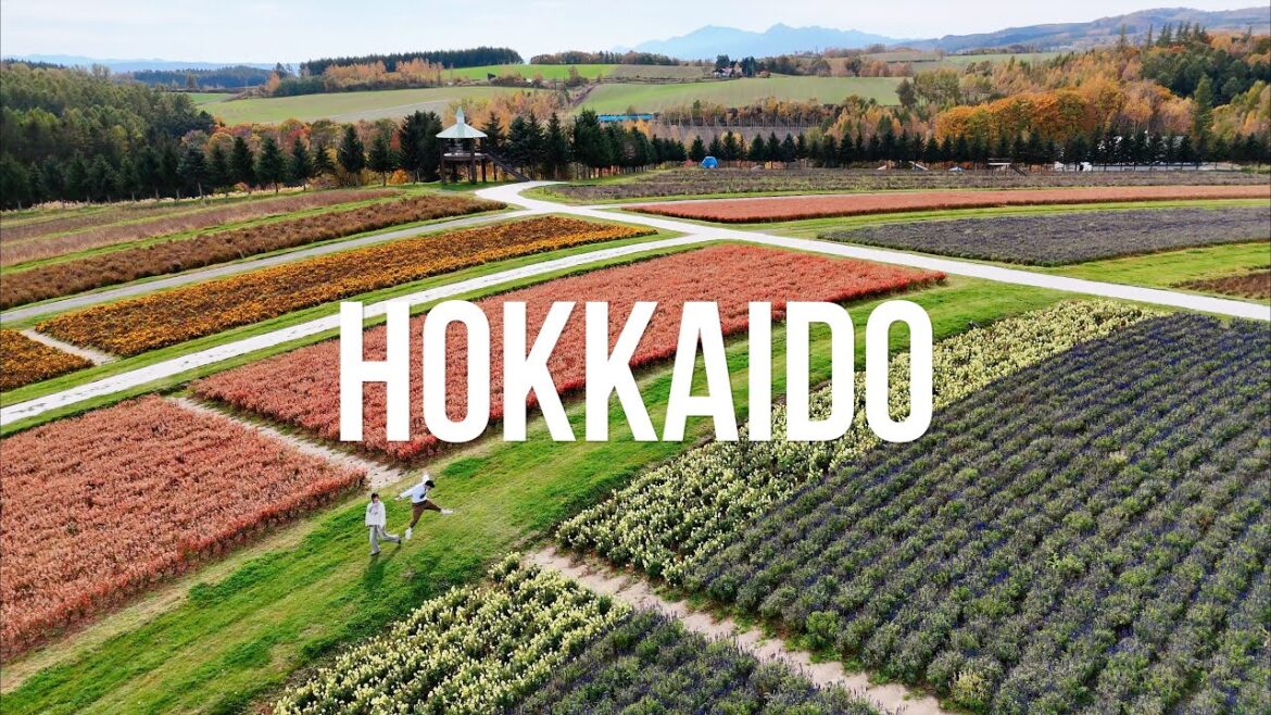 HOKKAIDO RV TRIP | JAPAN | TRAVEL VLOG | PART.1