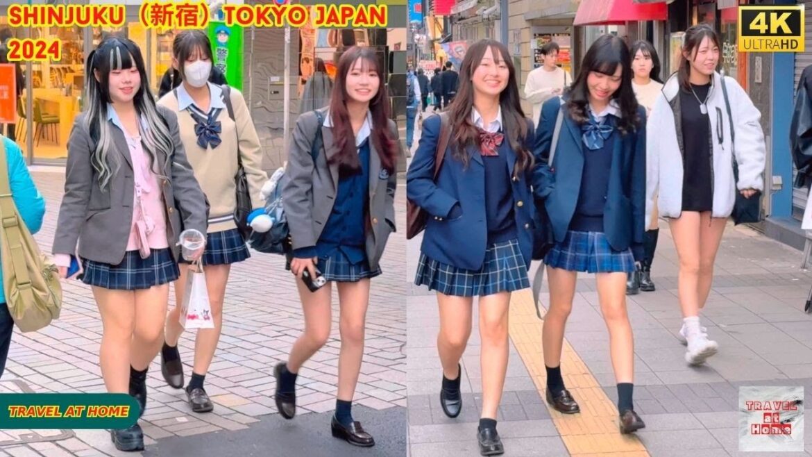 4k hdr japan travel 2024 | Walk in Shinjuku(新宿)Tokyo Japan | Relaxing Natural City ambience 4k hdr japan travel 2024 | Walk in Shinjuku(新宿)Tokyo Japan | Relaxing Natural City ambience