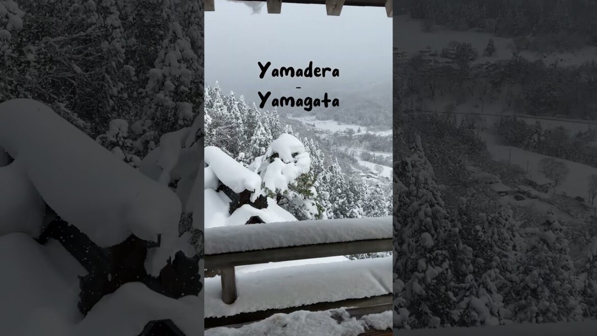🥵💦 New hobby during Summer in Japan: watching snow videos. ❄️ #SummerInJapan #summer #japantravel 🥵💦 New hobby during Summer in Japan: watching snow videos. ❄️ #SummerInJapan #summer #japantravel