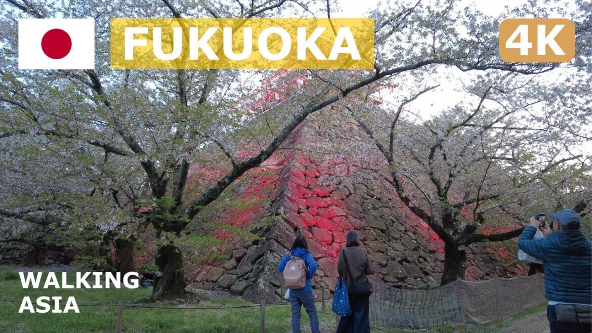 🇯🇵 Japan, Fukuoka: Fukuoka Castle Ruins & Maizuru Park Walking Tour – 4K 🇯🇵 Japan, Fukuoka: Fukuoka Castle Ruins & Maizuru Park Walking Tour - 4K