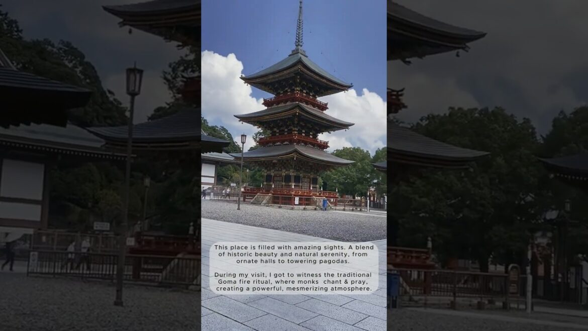 Top Tourist Destinations near Narita Airport (Naritasan Temple & Omotesando) #travel #narita