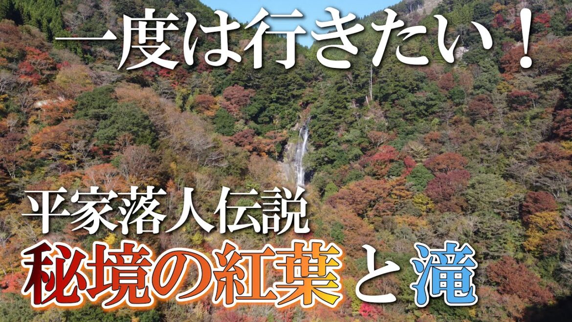 【熊本】せんだん轟の滝２　編　（ Vol.347 ）／秘境！平家落人隠れ里の紅葉と滝【4K空撮】