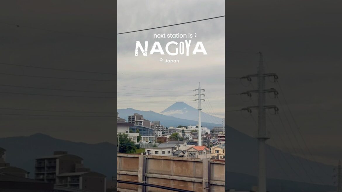 【Japan】Tasting Pizza in Nagoya 🗻🚄🍕