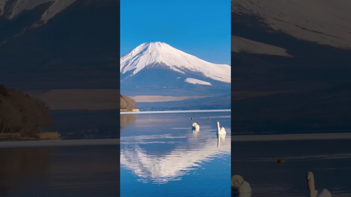 Places On Earth That Don’t Feel Real - JAPAN 🇯🇵