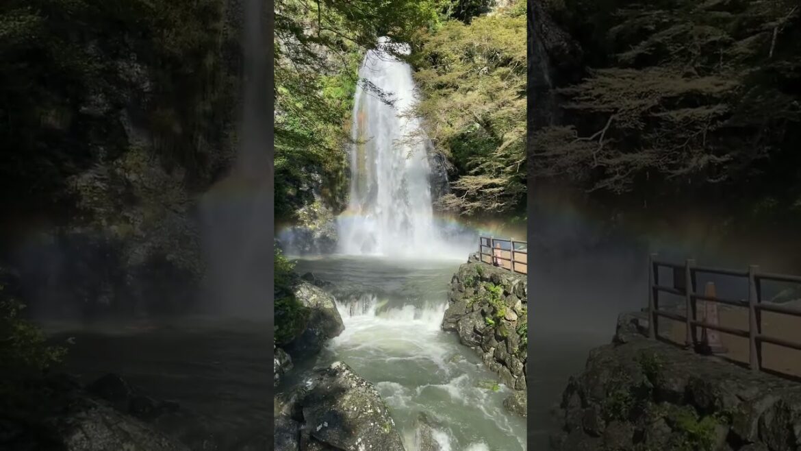 Waterfalls Minoh Falls Japan Travel vlog Minoh Falls Unveiled Waterfalls Minoh Falls Japan Travel vlog Minoh Falls Unveiled