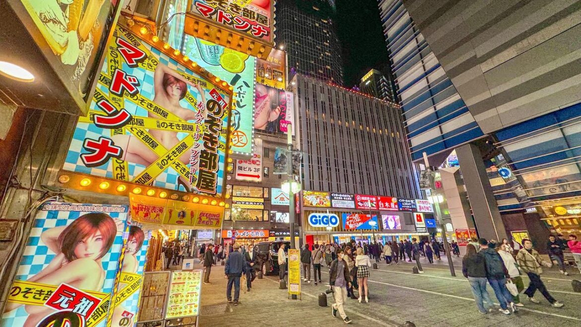 Tokyo Shinjuku Kabukicho(歌舞伎町散歩) - Japan Walking Tour