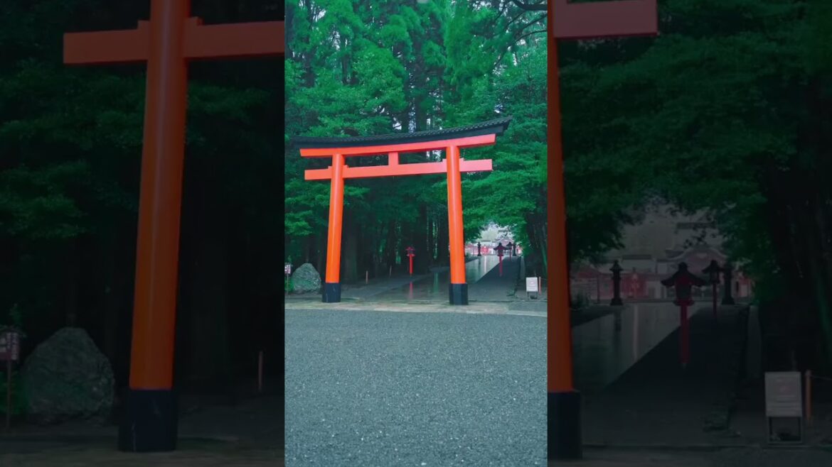 JAPAN 🇯🇵  📍 🇯🇵Kagoshima Prefecture【Kirishima Shrine】 Kirishima Shrine is a special 🇯🇵#travel #japan