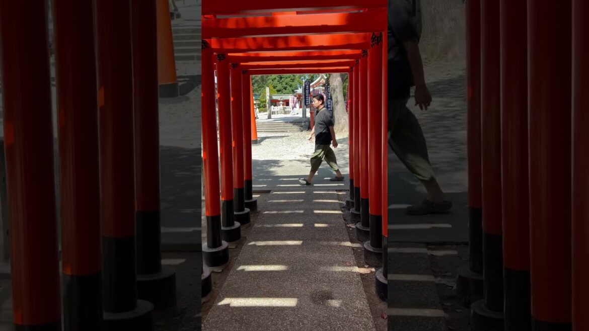 【OSAKA】Walking Through Beautiful Red Toriis - Toyonaka Inari Shrine