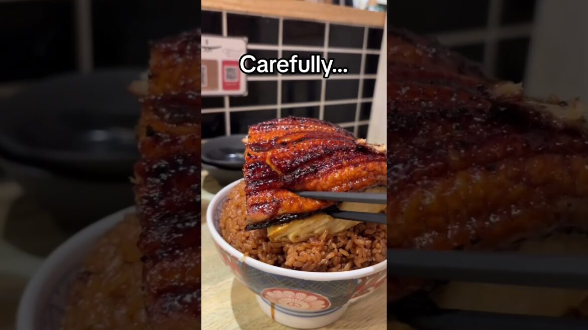 Jaw dropping unagidon in Osaka! Details in Description! #osaka #foodie #japanfood Jaw dropping unagidon in Osaka! Details in Description! #osaka #foodie #japanfood