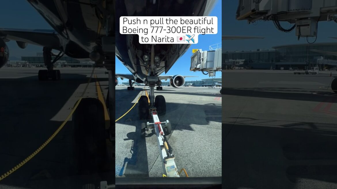 Push n pull the beautiful Boeing 777-300ER flight to Narita 🇯🇵✈️ #flight #japan #travel #aviation