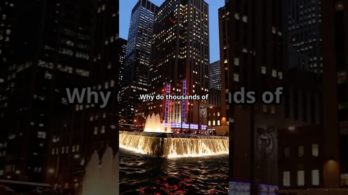 Top 10 Free Activities in Tokyo You Can’t Miss! 🇯🇵