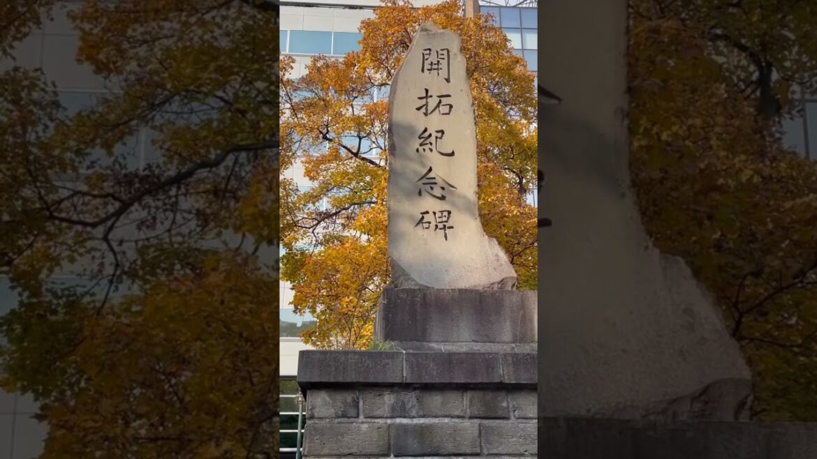 Odori Park in Autumn 🍁#japan #hokkaidojapan #nature #park #family