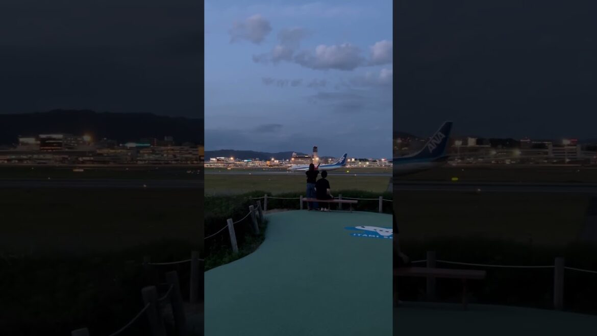 【OSAKA】Must-See Beautiful Night spot - Itami Sky Park