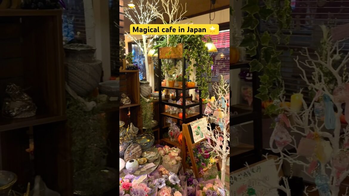 Magical cafe in Japan 🌟