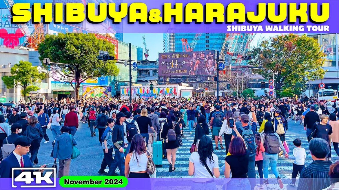 渋谷駅からキャットストリートを通り原宿へ 【 Shibuya Walk Tour 】From Shibuya To Harajuku｜November 2024｜JAPAN TRAVEL 4K