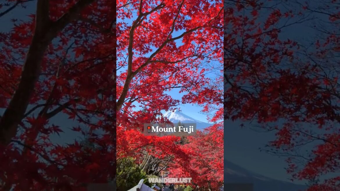 Must-Visit Spots in Japan🇯🇵🌺 Pt.1
