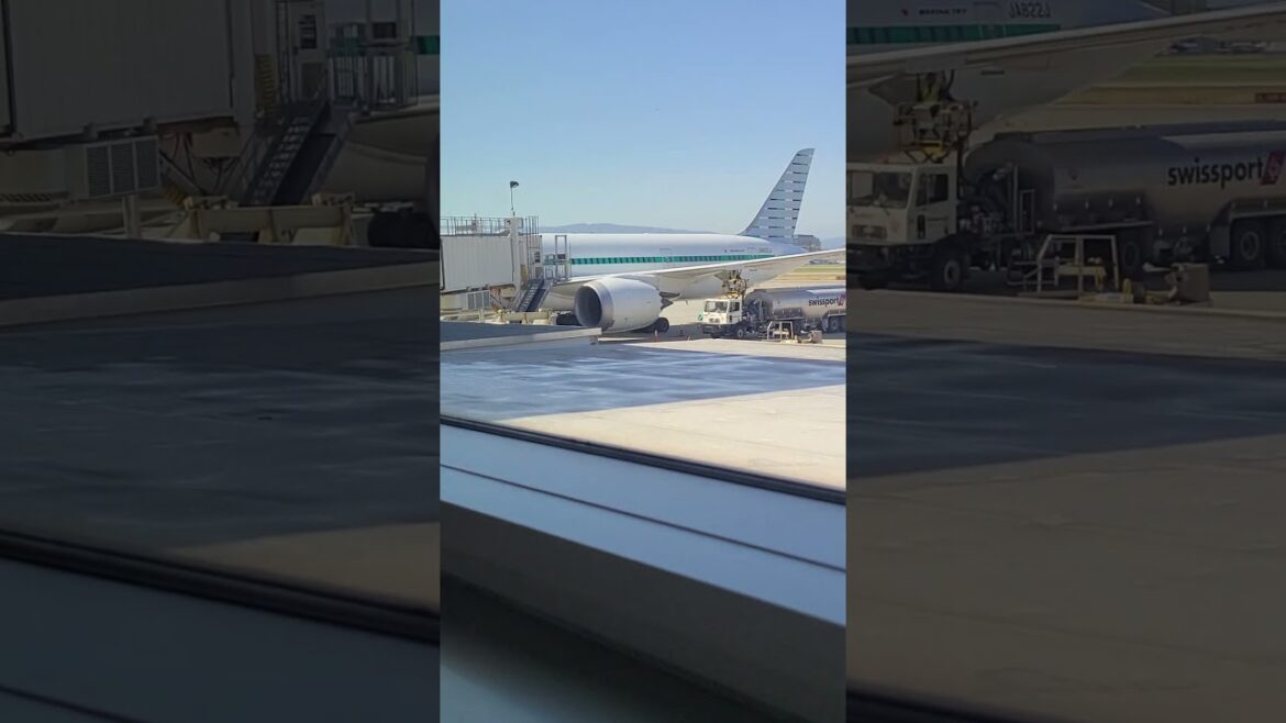 SJC terminal A :D