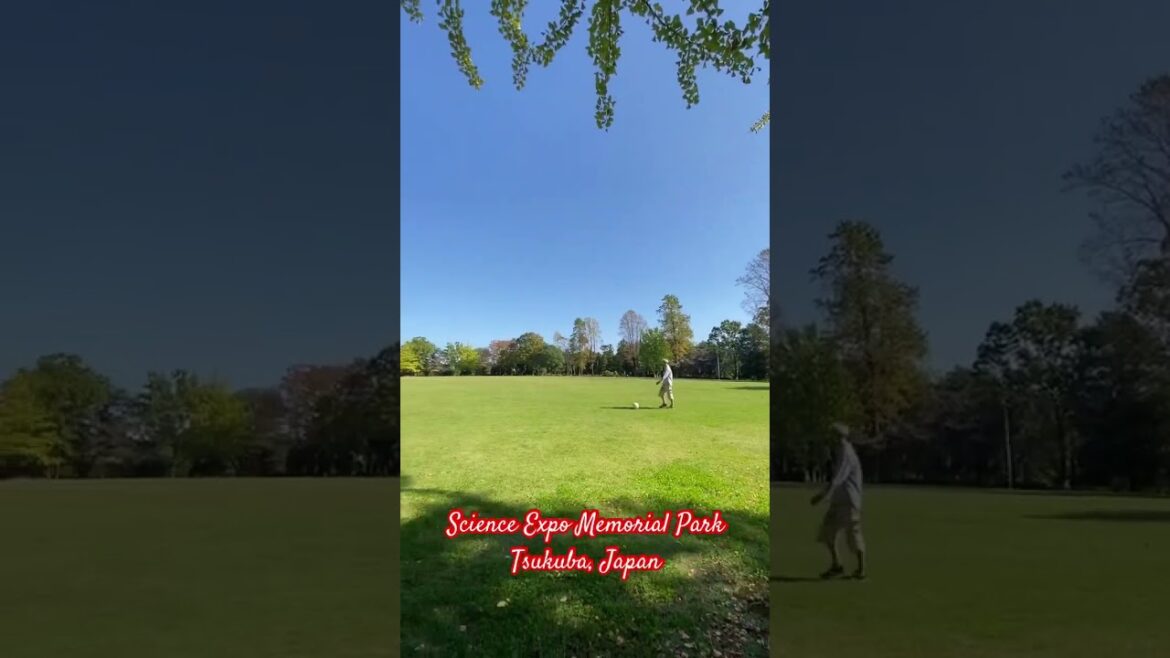 Autumn leaves at Science Expo Memorial Park, Tsukuba, Ibaraki, Japan #travel #japan#autumn #japan