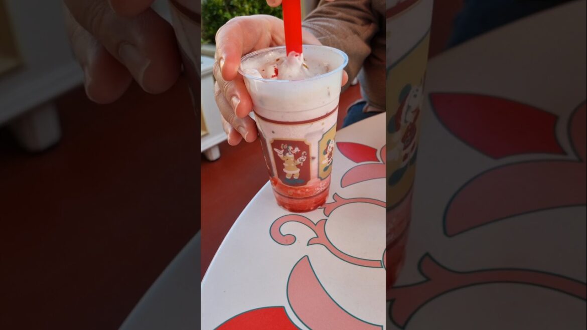 The Most Magical Christmas Snacks at Tokyo Disneyland!