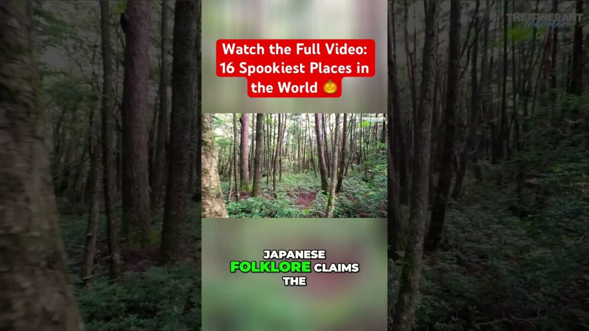 π―π΅ Unveiling the Secrets of Aokigahara Forest in Japan | Scary Places to Visit π―π΅ Unveiling the Secrets of Aokigahara Forest in Japan | Scary Places to Visit
