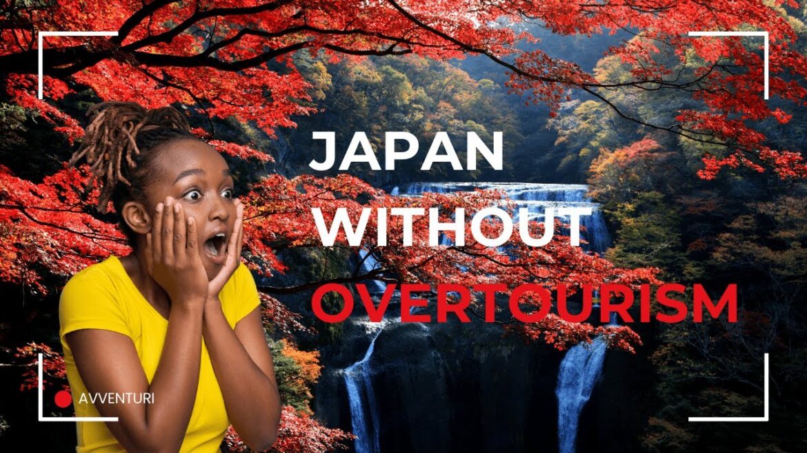 Experience the REAL Japan Beyond Tourist Traps