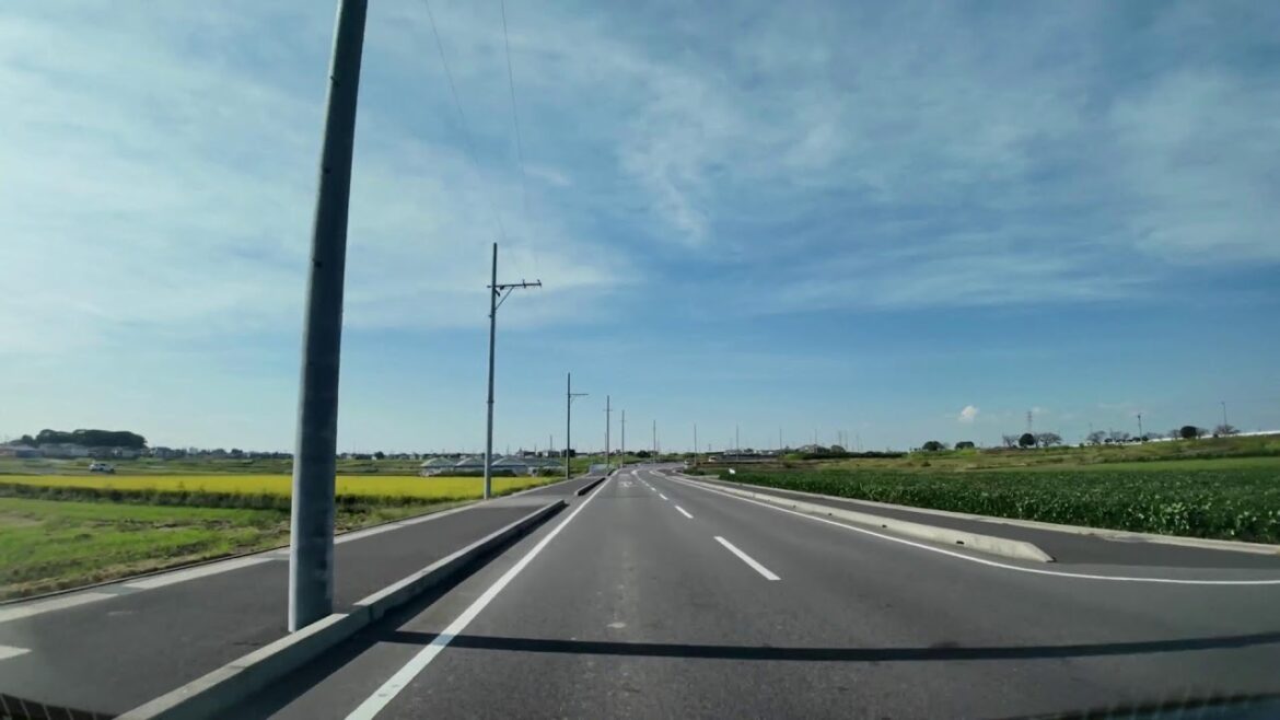 Japan: Driving from Anjo to Toyota City | Japan Trip