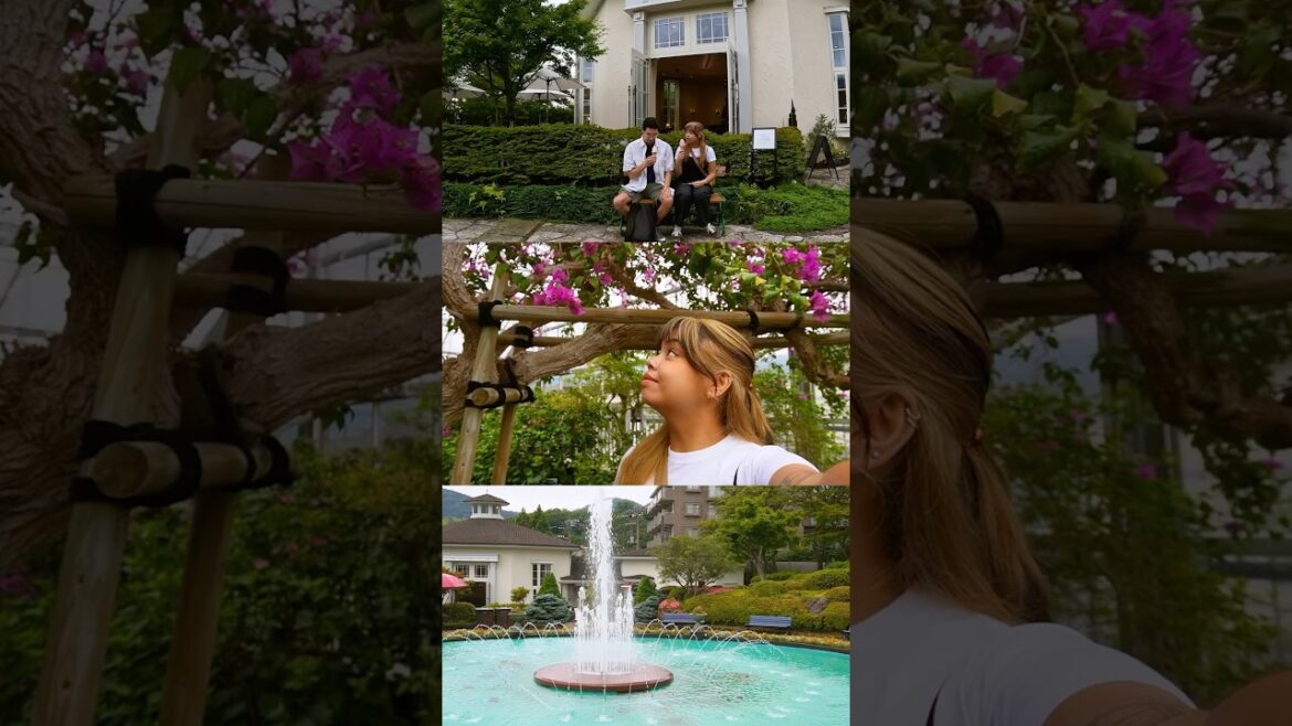 checkout the recent vlog if you haven’t yet! #travel #explorejapan #hakone #japan